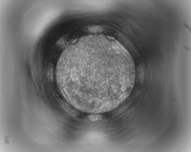 X0000102280762200808151928