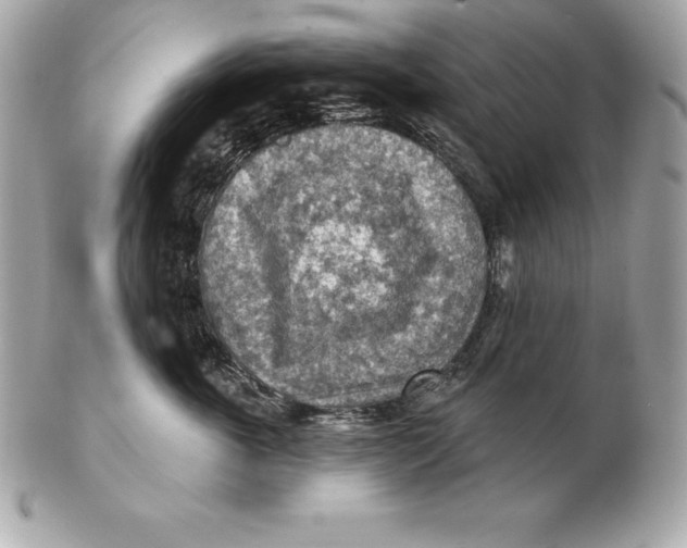 X0000102280763200808151928