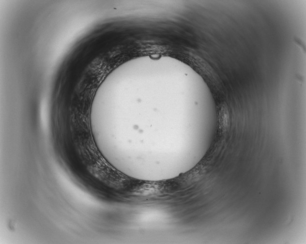 X0000102280764200808151928