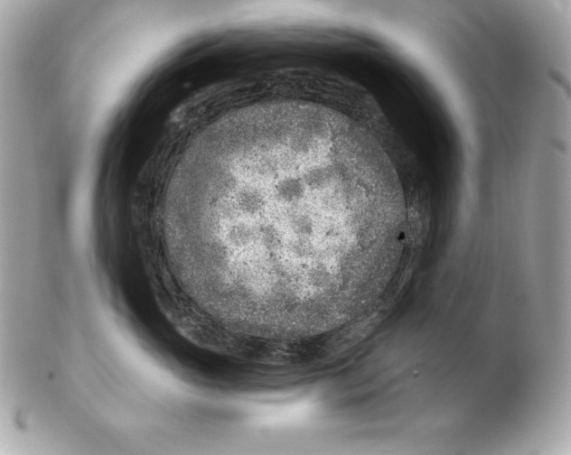 X0000102280765200808151928