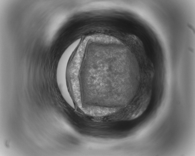 X0000102280766200808151928