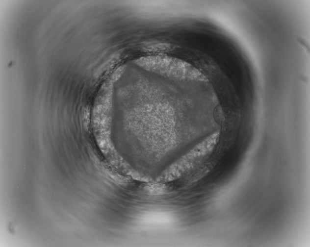 X0000102280767200808151928