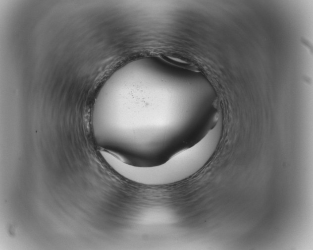 X0000102280768200808151928