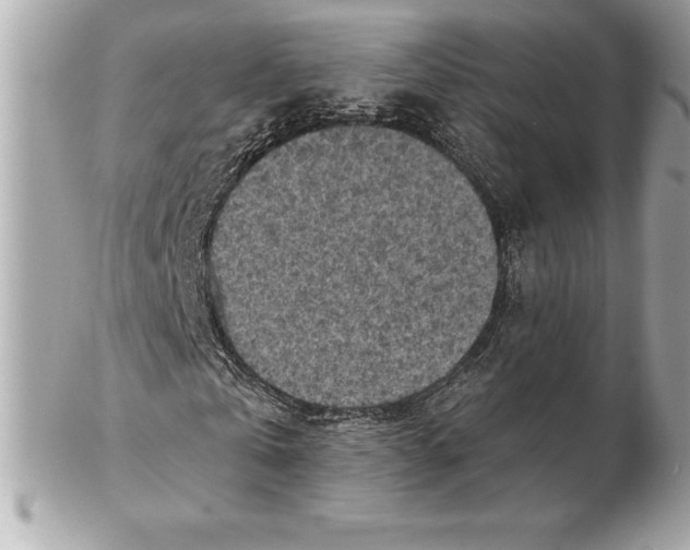 X0000102280769200808151927