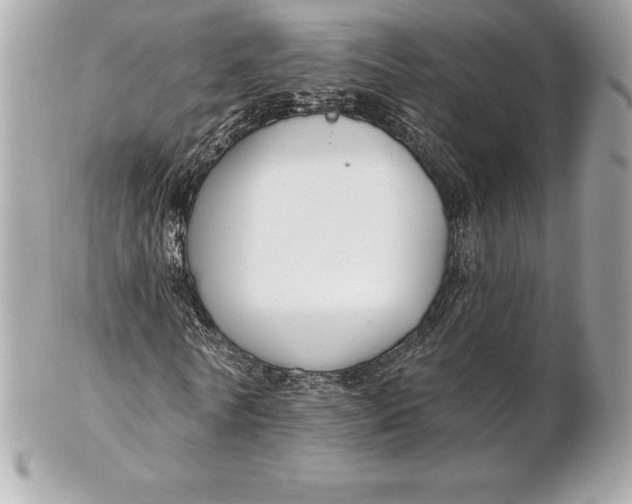 X0000102280770200808151927