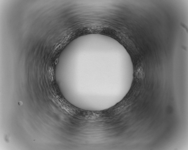 X0000102280772200808151927