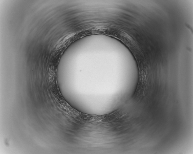 X0000102280773200808151927