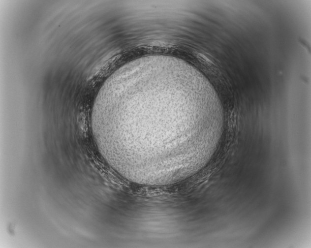 X0000102280774200808151927