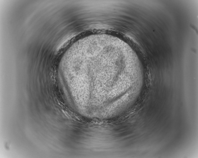 X0000102280775200808151927