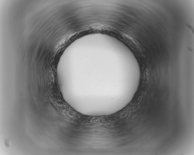 X0000102280776200808151927