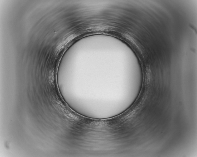 X0000102280778200808151927