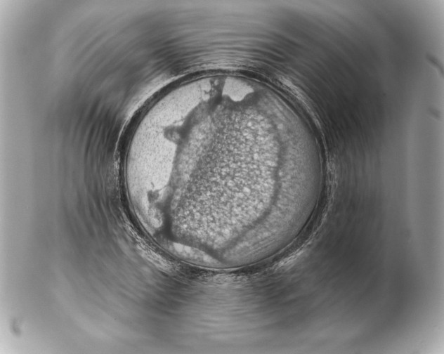 X0000102280779200808151927