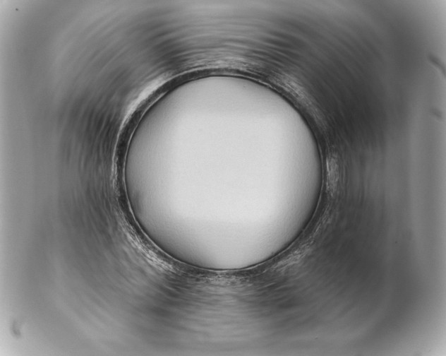 X0000102280780200808151927