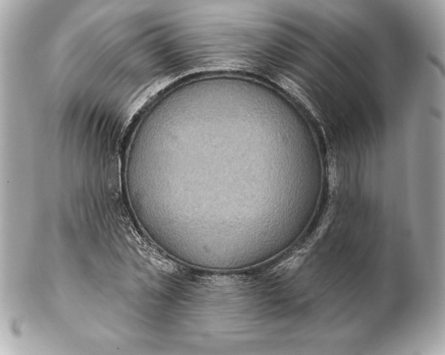 X0000102280781200808151927