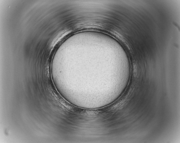 X0000102280782200808151927