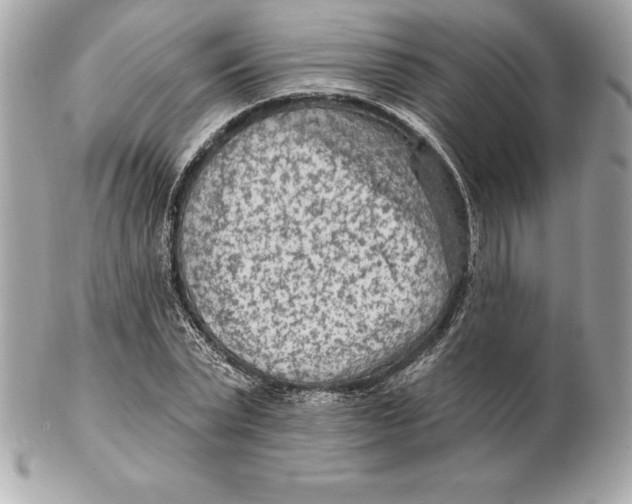 X0000102280783200808151927