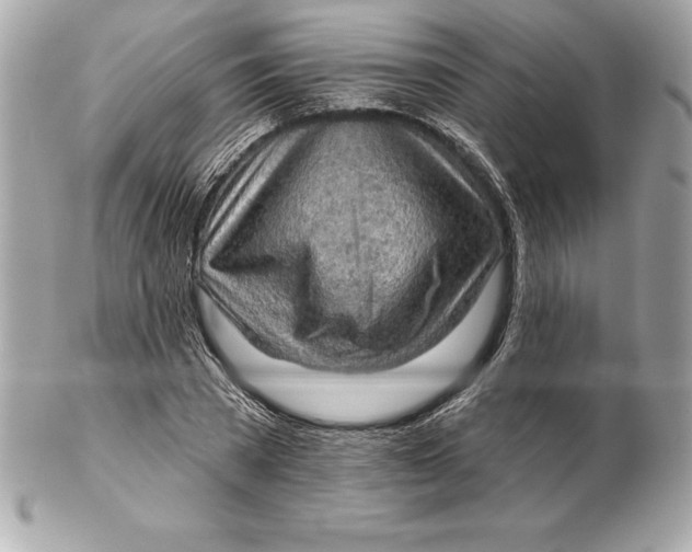 X0000102280785200808151927