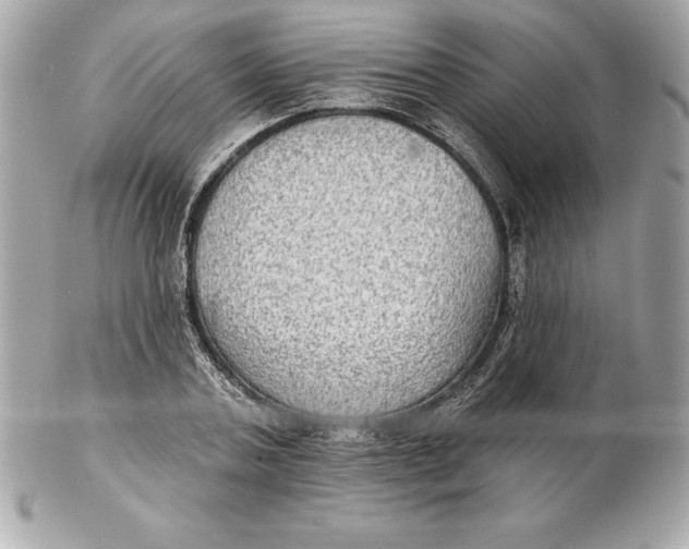 X0000102280787200808151927