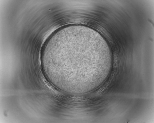 X0000102280788200808151927