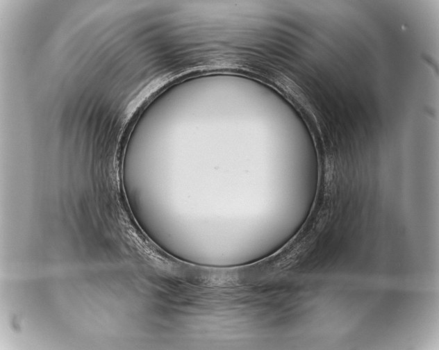 X0000102280789200808151926