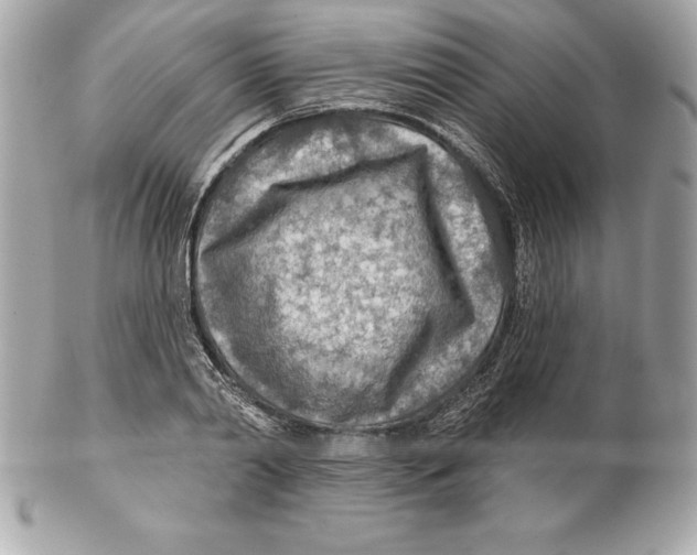 X0000102280790200808151926