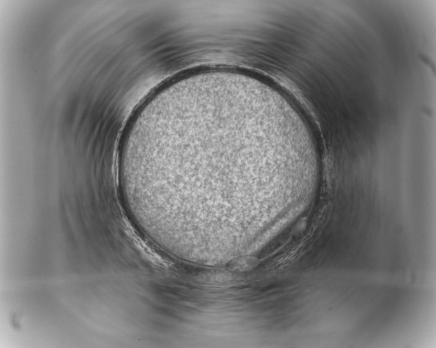 X0000102280791200808151926