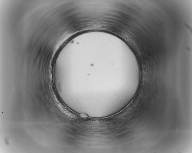 X0000102280792200808151926