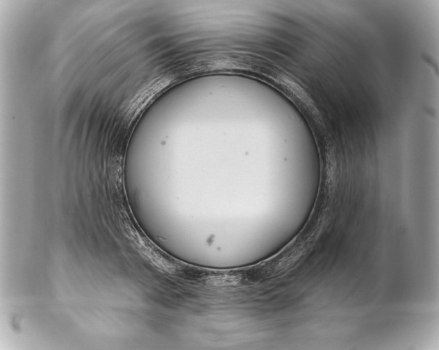 X0000102280793200808151926