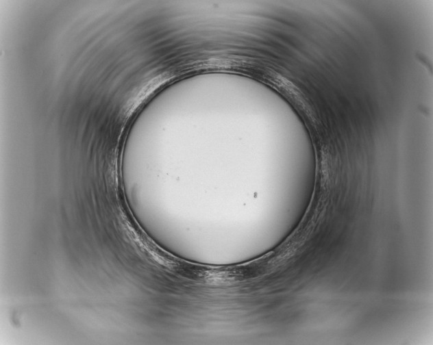 X0000102280794200808151926