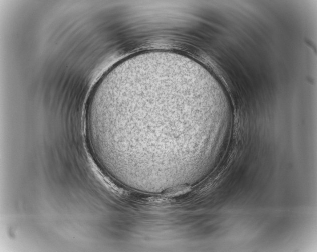 X0000102280795200808151926