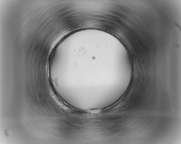 X0000102280796200808151926