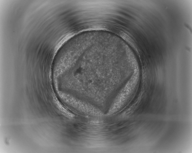 X0000102280797200808151926