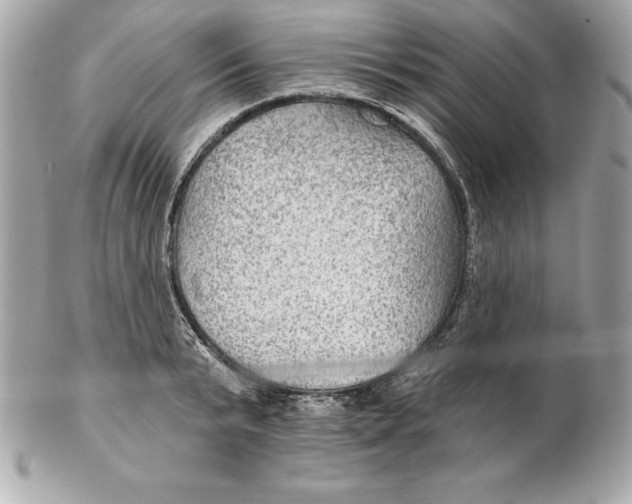 X0000102280799200808151926