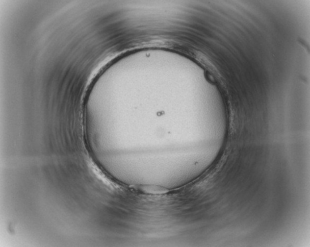 X0000102280800200808151926