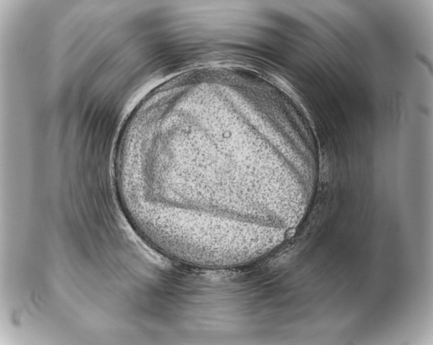 X0000102280803200808151926