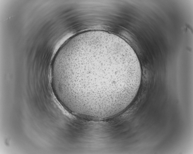 X0000102280804200808151926