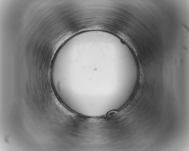 X0000102280805200808151926