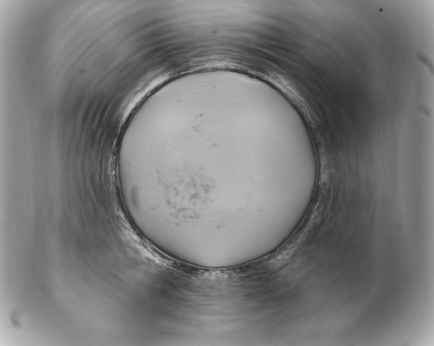 X0000102280806200808151926