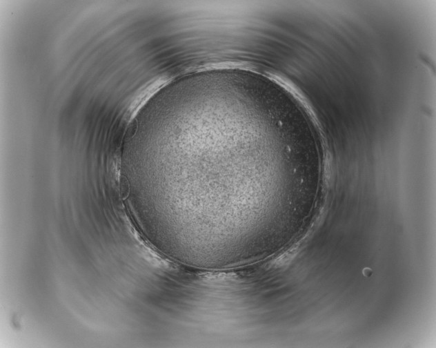 X0000102280809200808151926