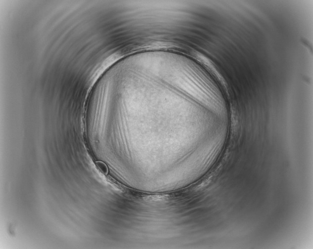 X0000102280810200808151926