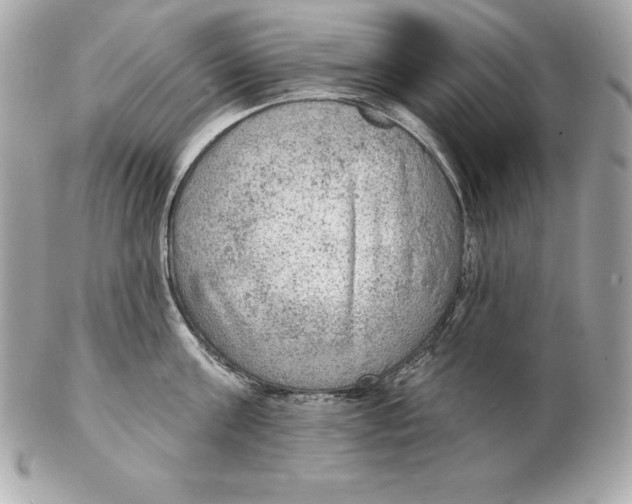 X0000102280811200808151926