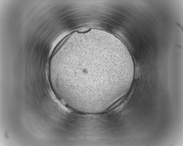 X0000102280812200808151926