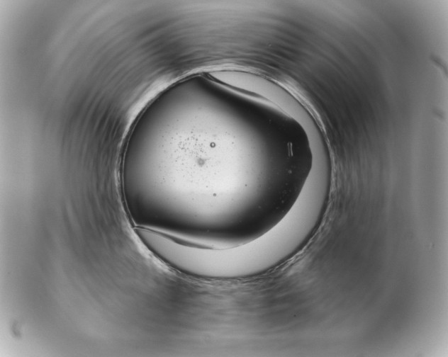 X0000102280813200808151926