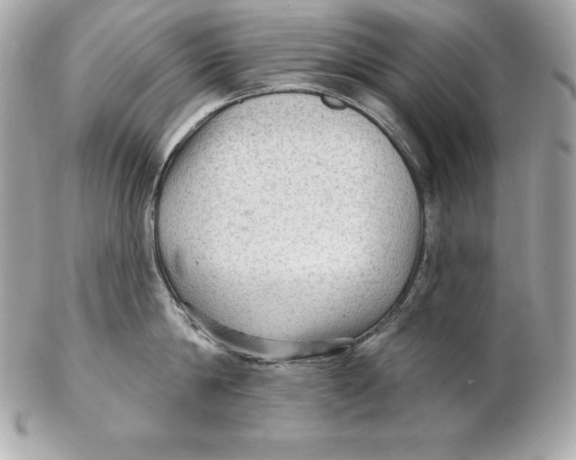 X0000102280814200808151926