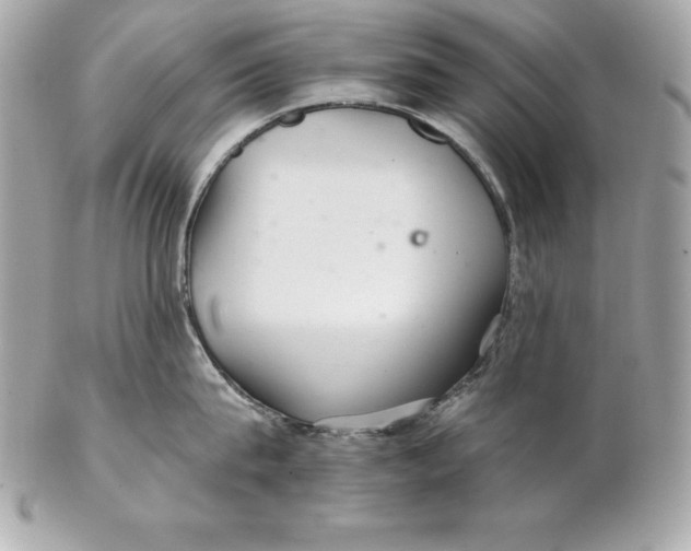 X0000102280815200808151926