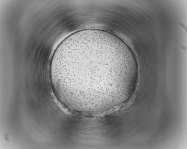 X0000102280816200808151926