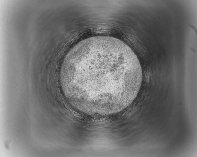 X0000102280817200808151925