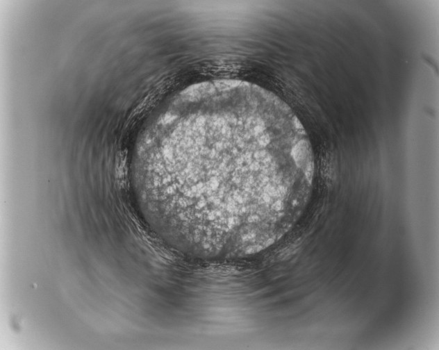 X0000102280818200808151925