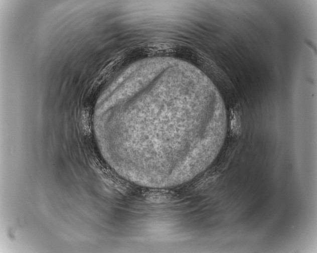 X0000102280819200808151925