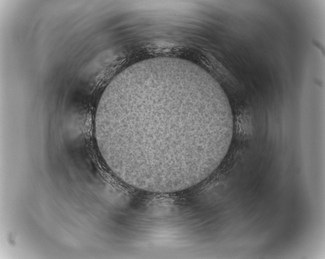 X0000102280820200808151925